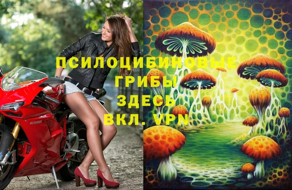 дживик Алзамай