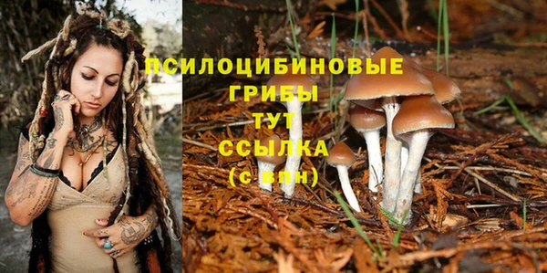 дживик Алзамай