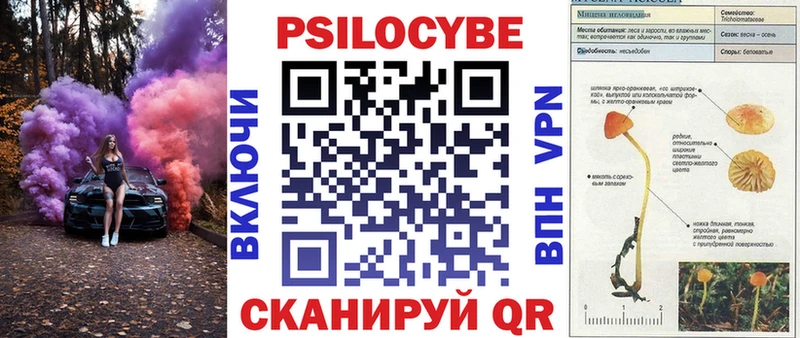 цены   Апатиты  Псилоцибиновые грибы прущие грибы 